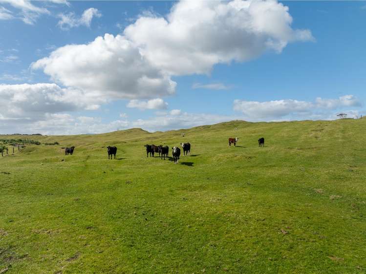 88 Lake Road Kawhia_22