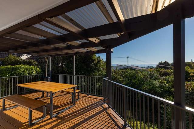 Renovated, Sunny & Walking Distance to Shops