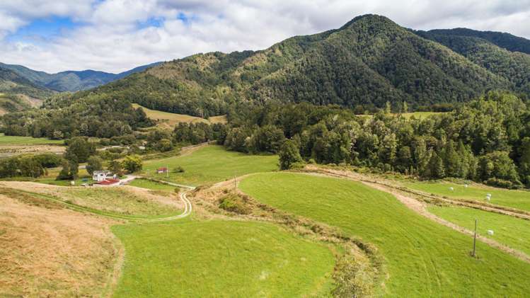 845 Shenandoah Highway Murchison_0