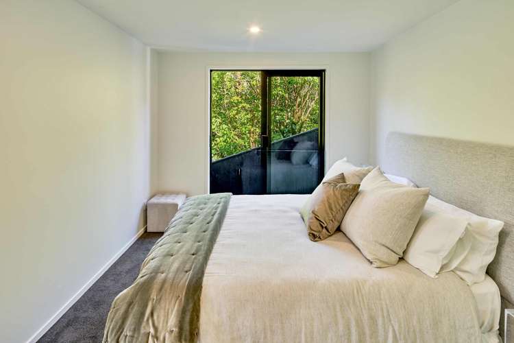 17 Ara Toutouwai Karori_11