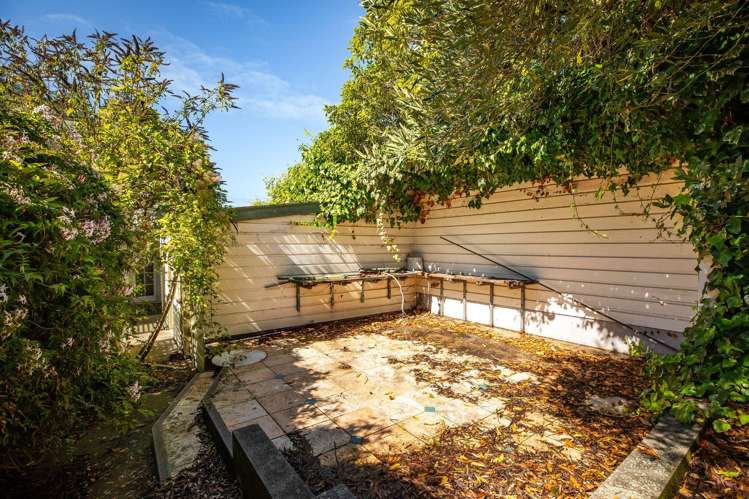 30 Beverley Hill Maori Hill_53