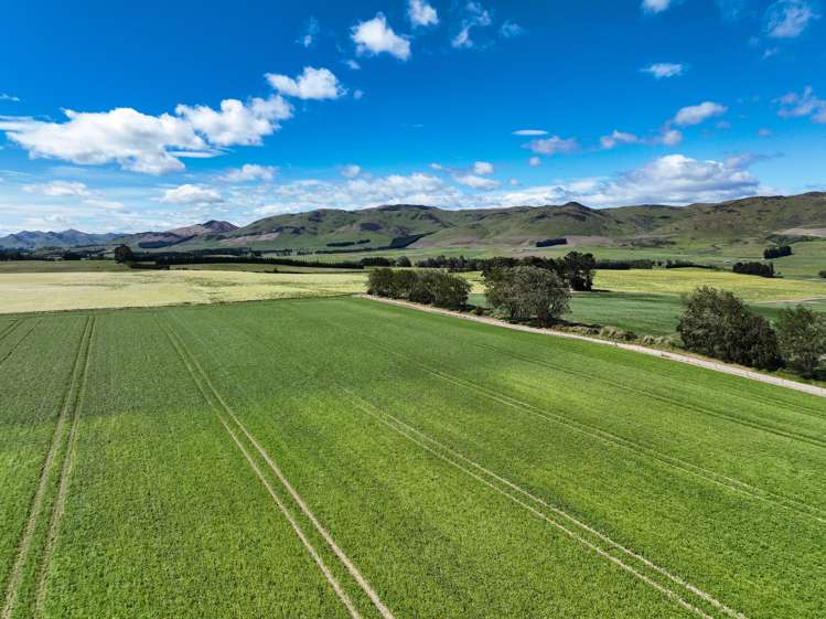 909 Nine Mile Road Riversdale_9