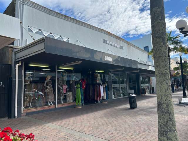 246 Emerson Street Napier South_1