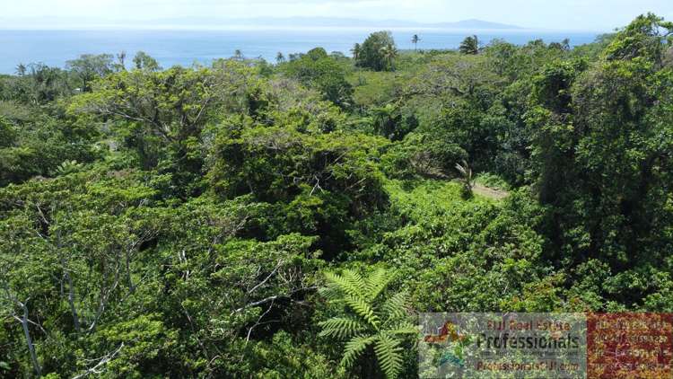Address withheld Taveuni_8