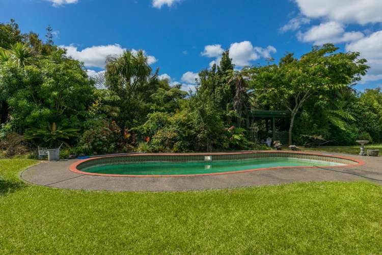 137 Oteha Valley Road Fairview Heights_14