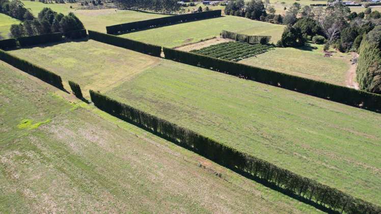 217 Waipapa West Road Kerikeri Surrounds_5