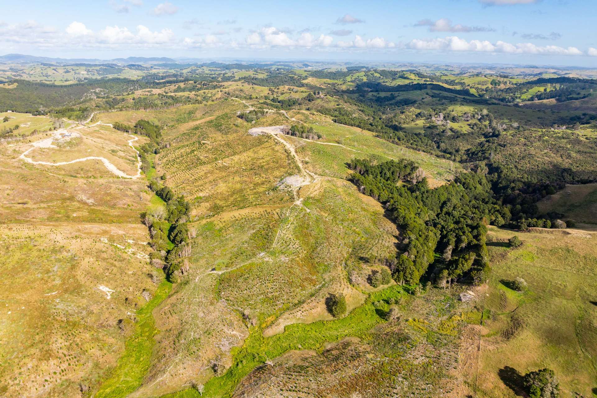 Bull Road Paparoa_0