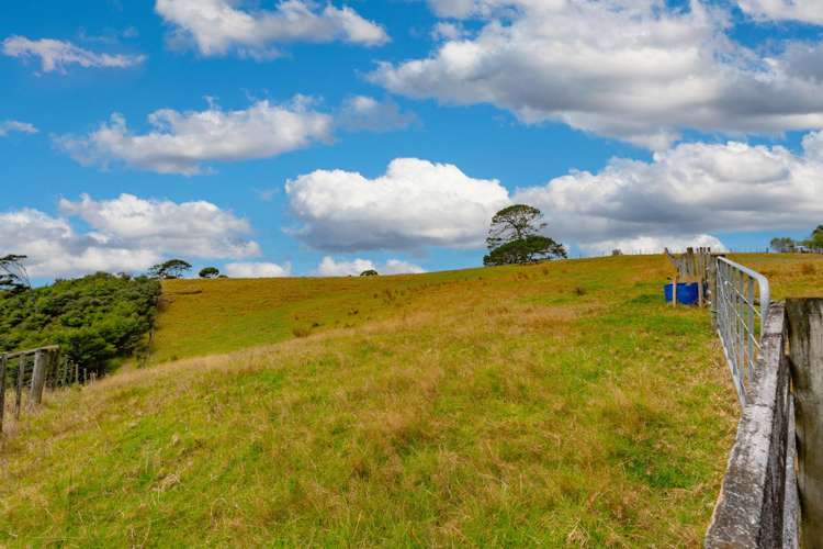 14b Wairere Road Waitakere_35