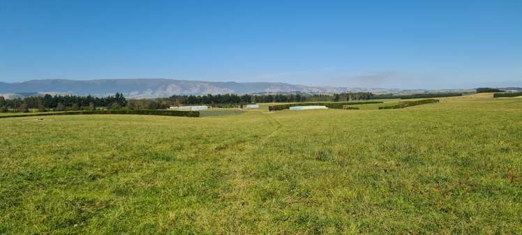 357 Middle Road Gore Surrounds_10