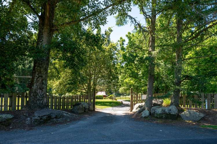 171-191 Millar Road Lake Okareka_43