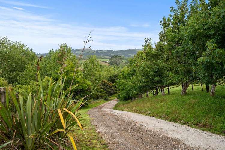 747 Three Mile Bush Road Ruatangata West_26