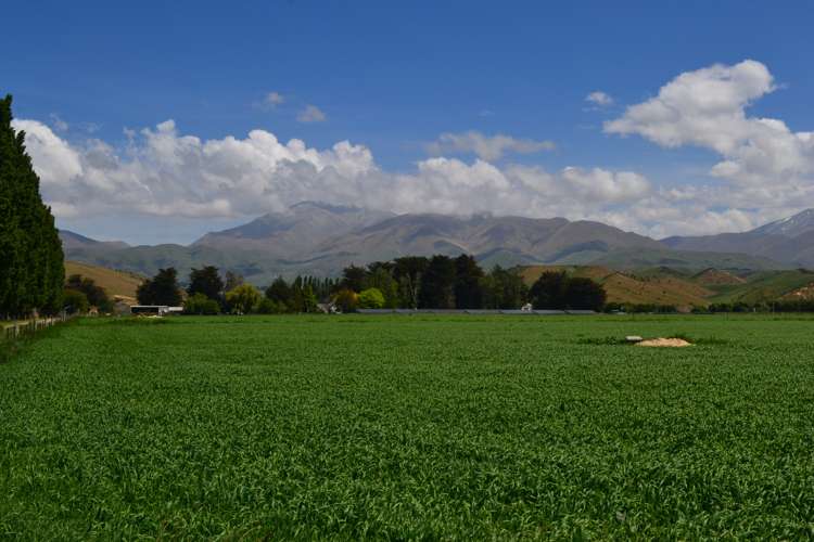 143 Otiake Road Otiake_18