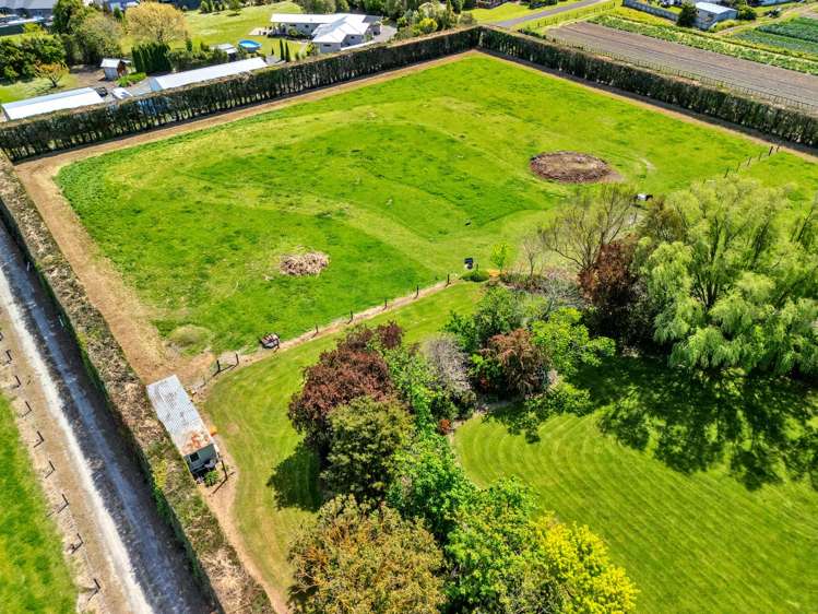 16 Maltby Street Meeanee_7