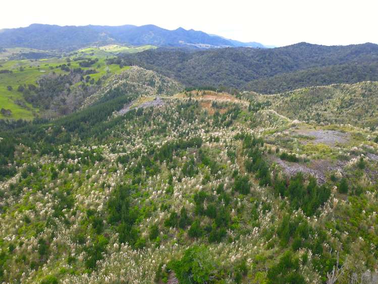 Lot 2 Waiotehue Road Broadwood_7