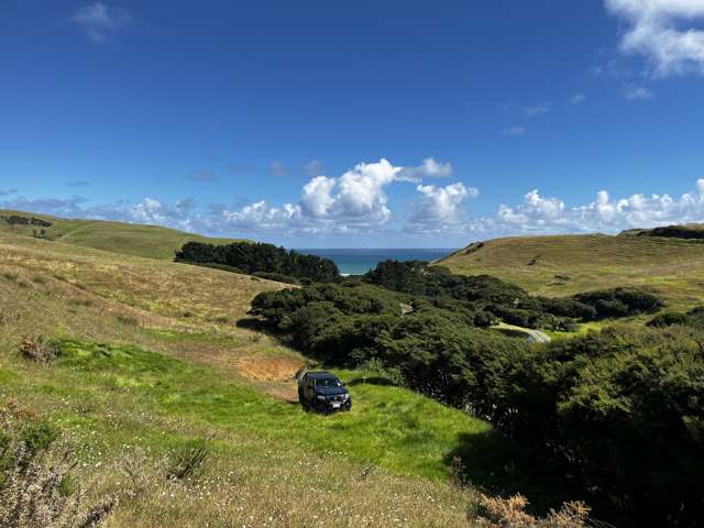 1517 Whaanga Road Raglan_3