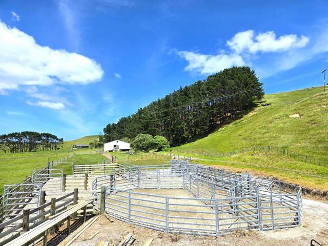 1415 Babylon Coast Road Dargaville_2