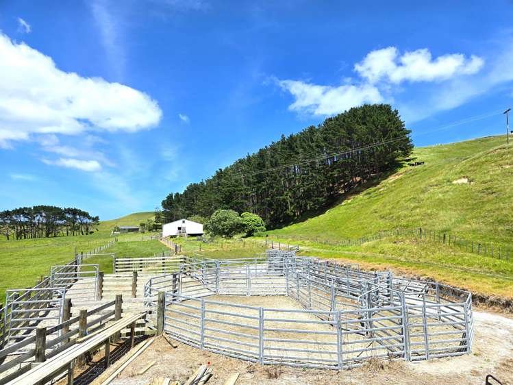 1415 Babylon Coast Road Dargaville_2