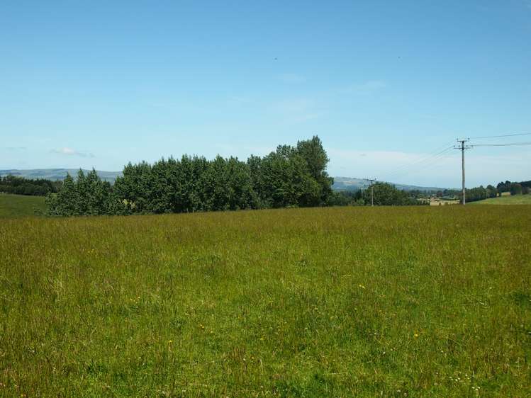 210 Terry Road Gore_9