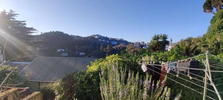 Address withheld Aro Valley_8