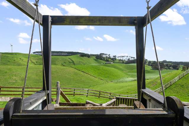 Multigenerational, Equestrian and Shedding!