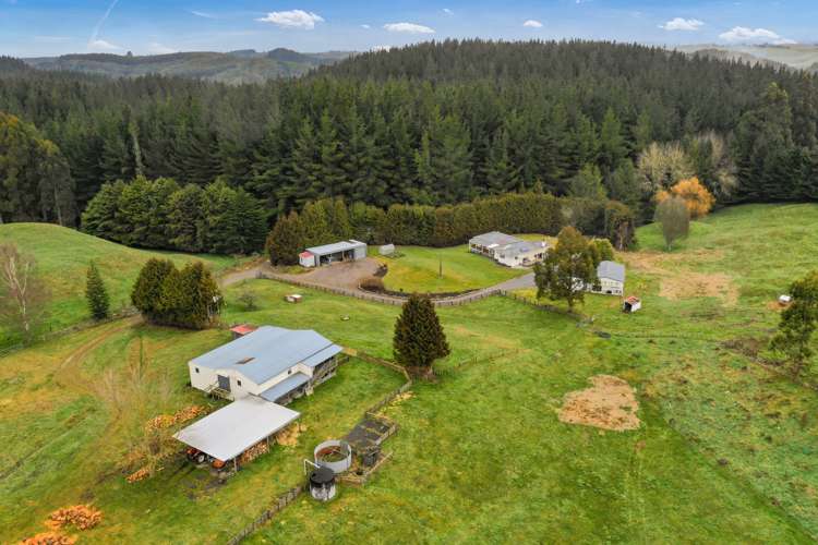 301 Hingarae Road Tihoi_16