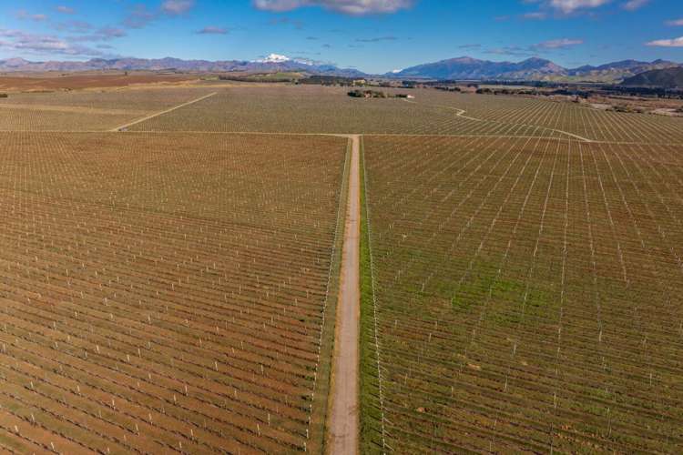 787 Seaview Road Seddon_16