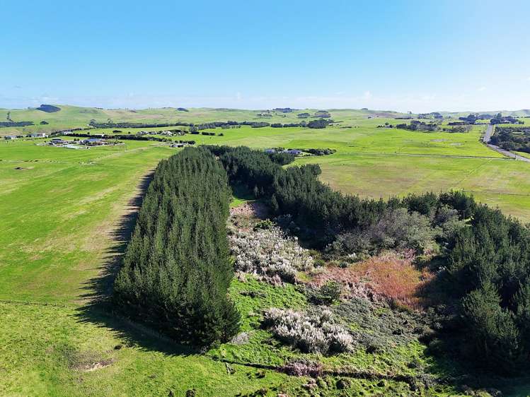 413A Baylys Coast Road Dargaville_12