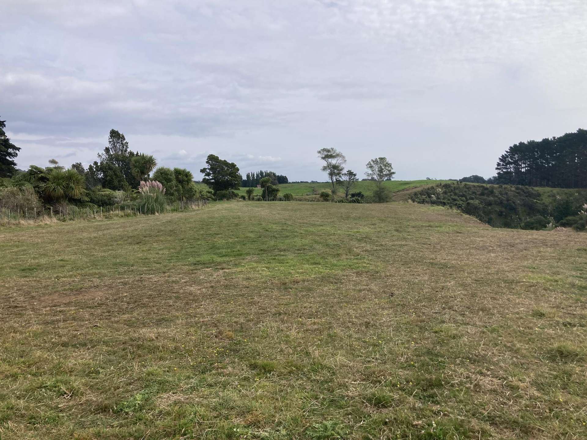 Near Mimi Road Mimi_0