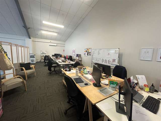 358 Neilson Street Penrose_3