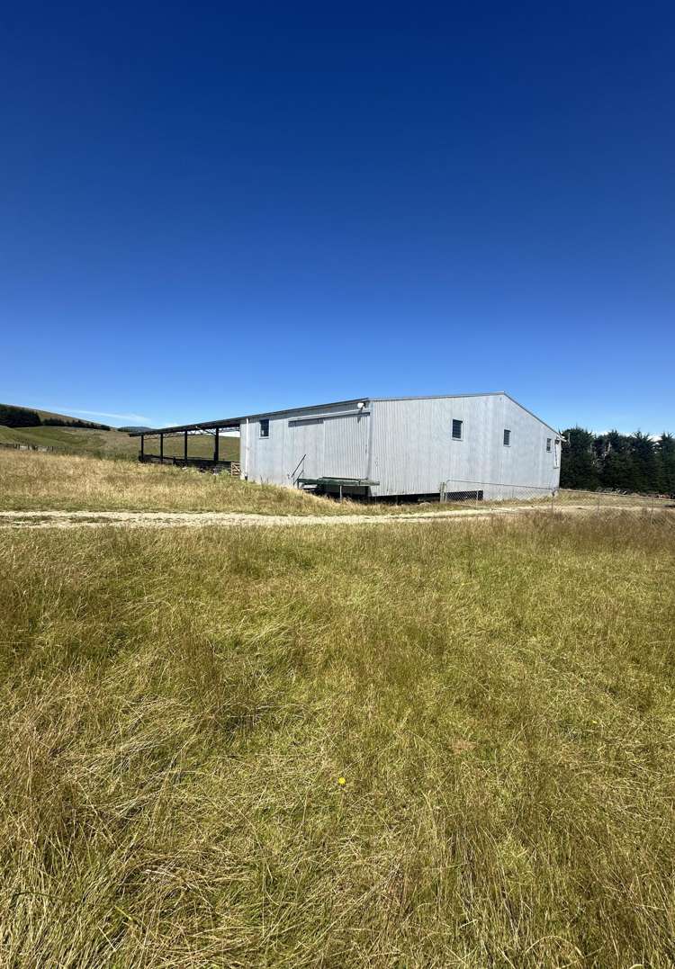 2230 Tapanui Raes Junction Highway Clutha_19