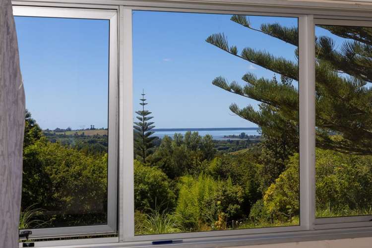 236 Willoughby Road Tahawai_33