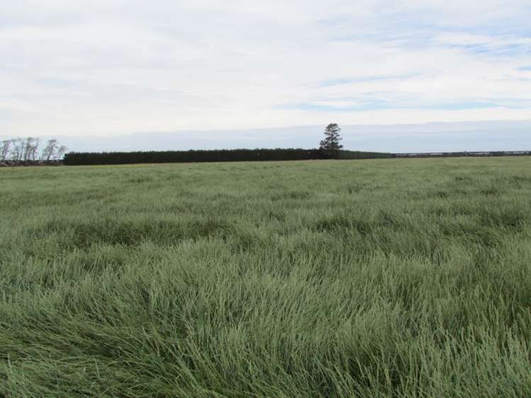 40 Dorie School Road Dorie_6