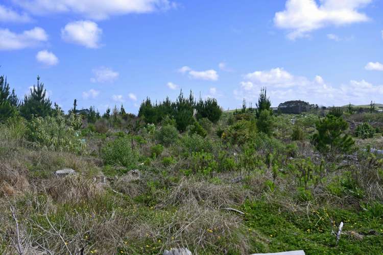 960 Oneriri Road Kaiwaka_5