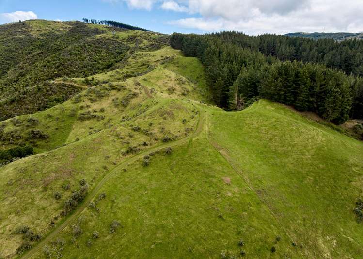 101b Bulls Run Road Moonshine Valley_22