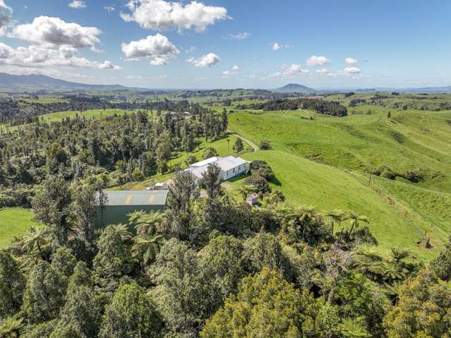 412 Bromley Road Otorohanga_3