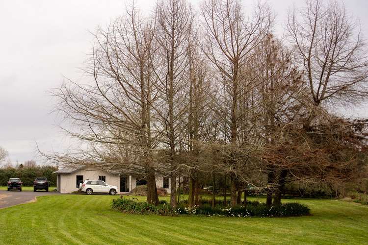 545 Tauwhare Road Matangi_12