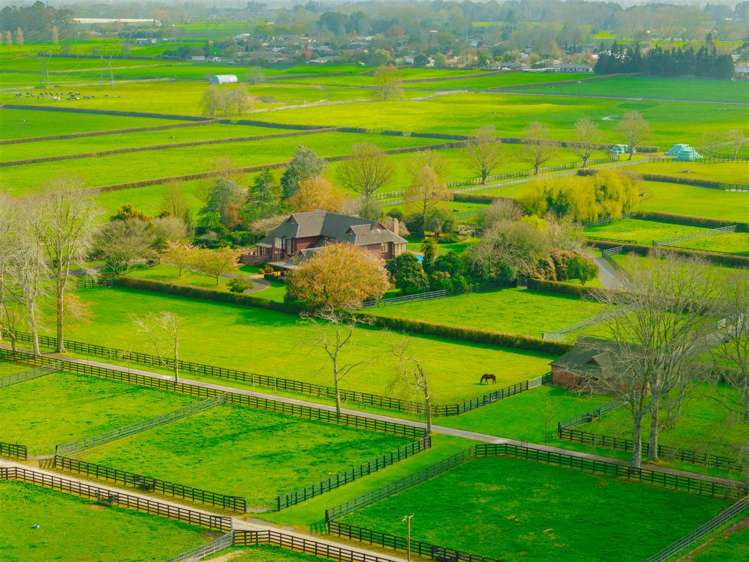 122 Rotoorangi Road Cambridge_21