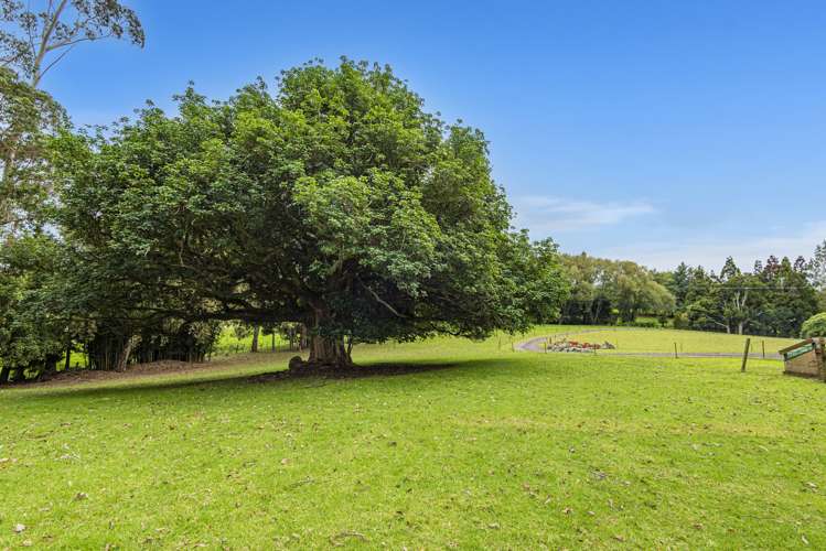 475 Matarau Road Ruatangata_21