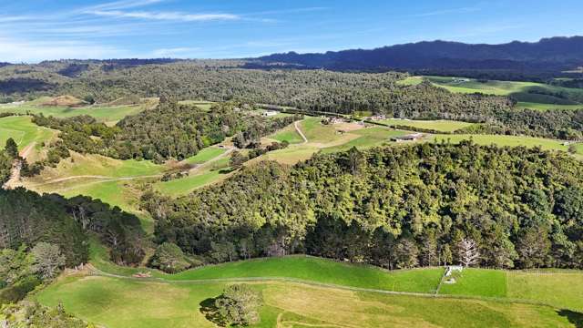 687 Work Road Whakamarama_2