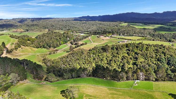 687 Work Road Whakamarama_13