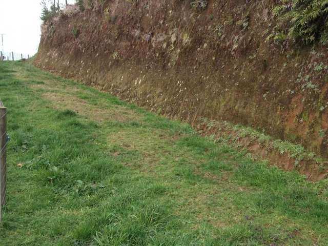 273 Opunake Road Cardiff_4