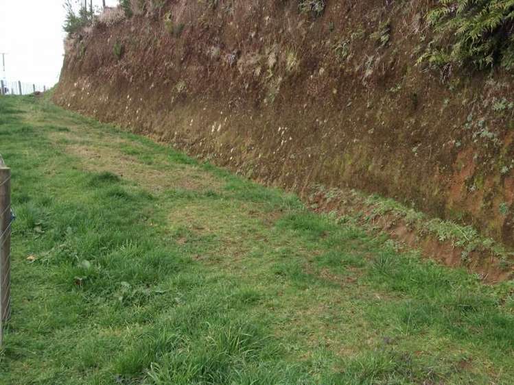 273 Opunake Road Cardiff_4