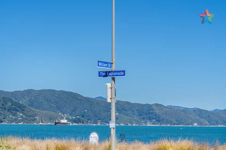 217 The Esplanade Petone_19