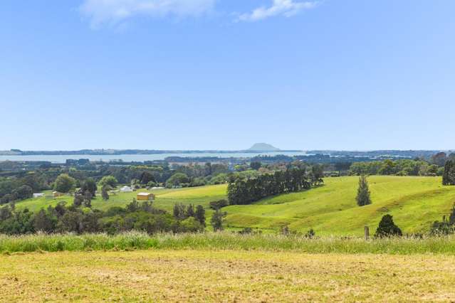 273F Lund Road Katikati_1