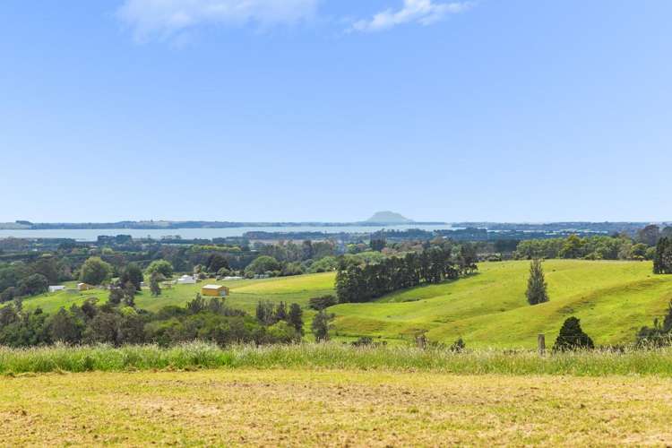 273F Lund Road Katikati_1