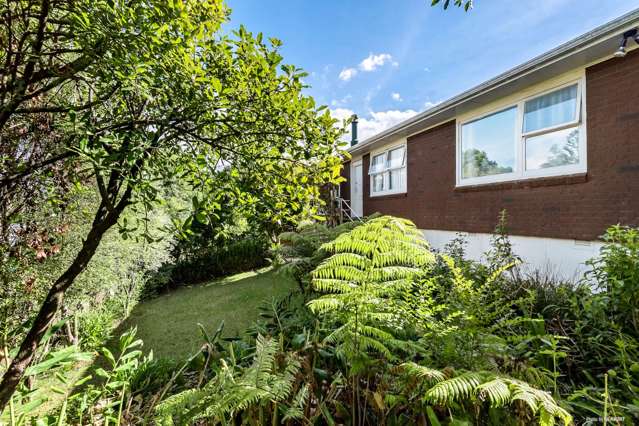 105 Captain Scott Road Glen Eden_1