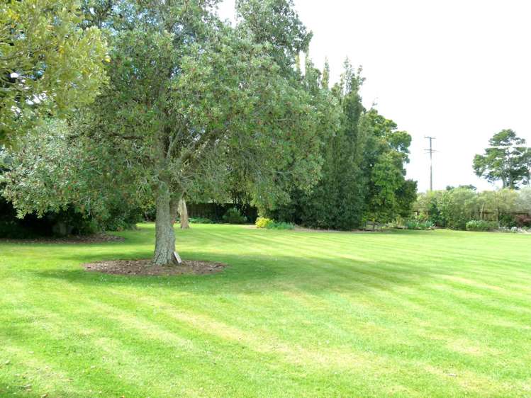 150 South Road Waipu_19