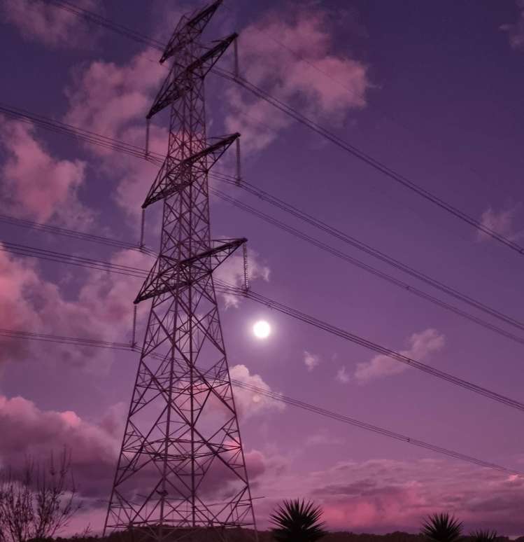 22 Falls Road Hunua_7