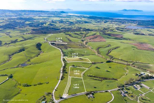 Elevated coastal living , Te Arai