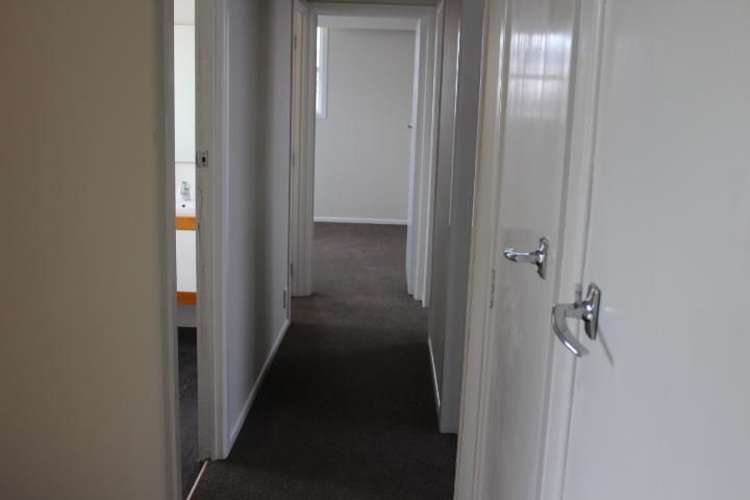 3 Tarapunga Place Tokoroa_9